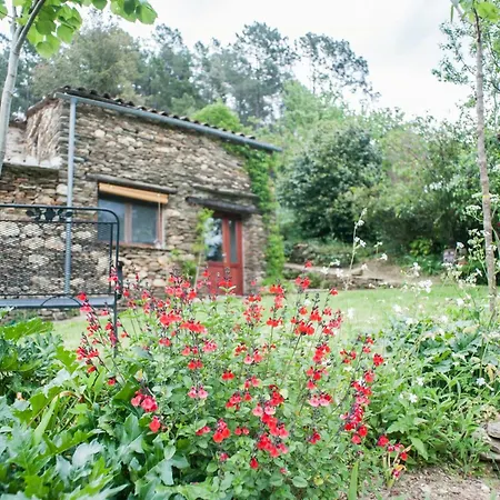 בית נופש 13th Century Cevennes Stone House In Nature