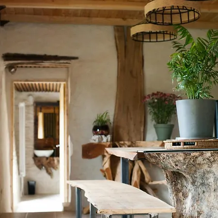 13th Century Cevennes Stone House In Nature Holiday home Soustelle