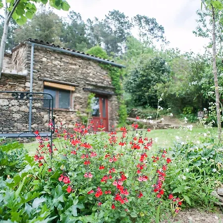 13th Century Cevennes Stone House In Nature *