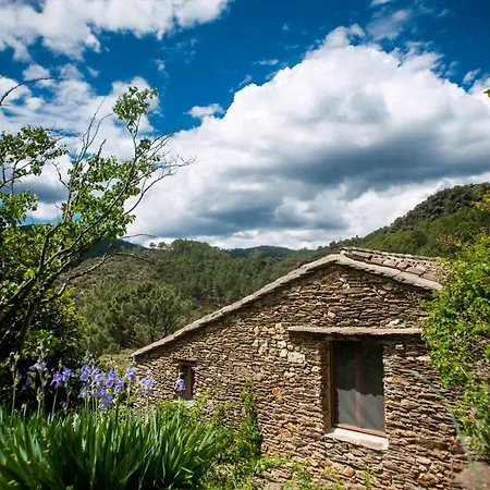 13th Century Cevennes Stone House In Nature