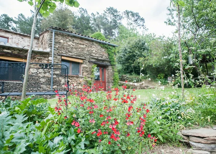 Feriehus 13th Century Cevennes Stone House In Nature